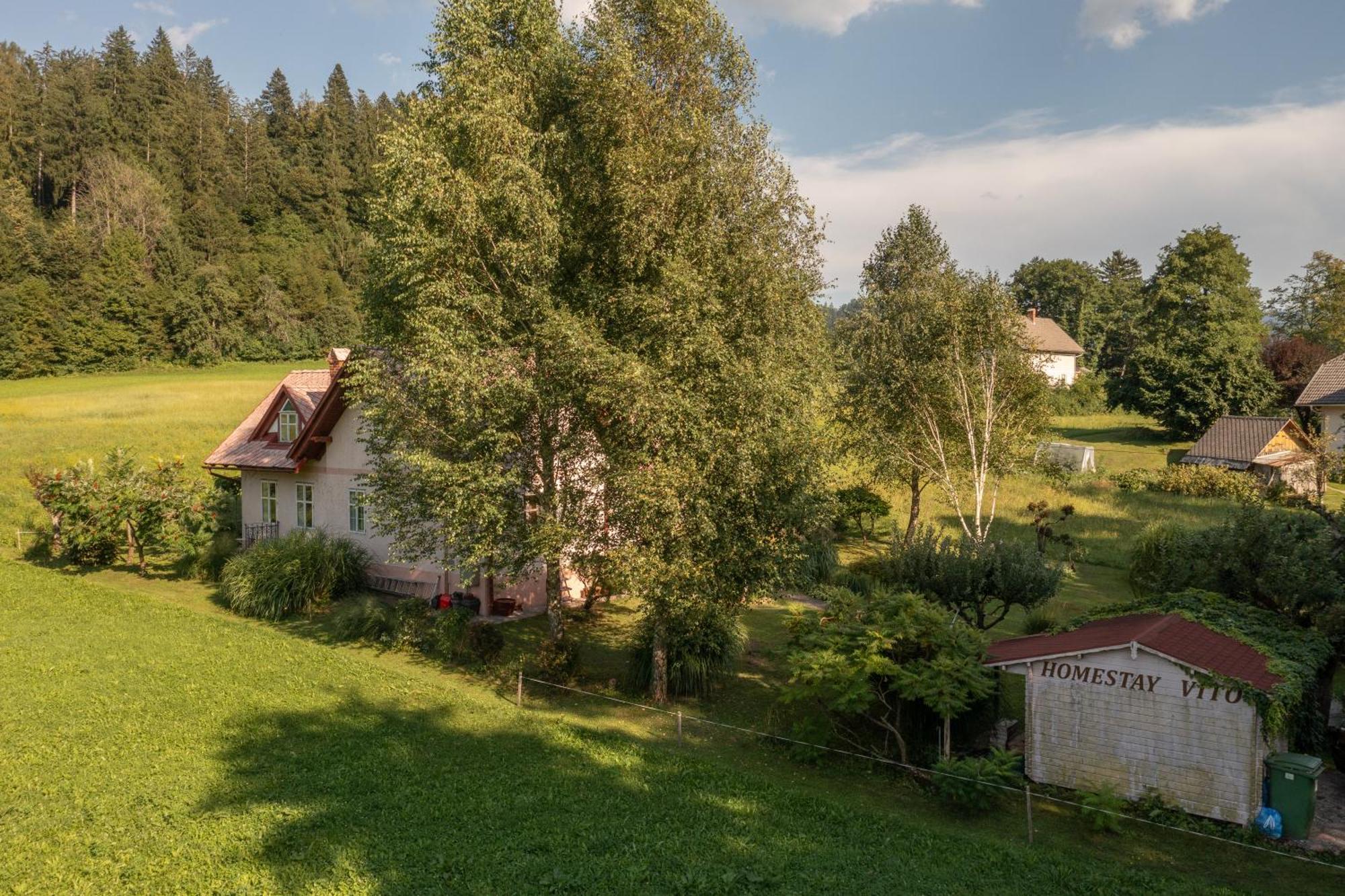 Homestay Vito By Lake Bled Dış mekan fotoğraf